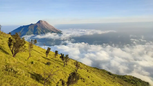 Bukit Kunir: Pesona Perbukitan Hijau yang Menenangkan Jiwa